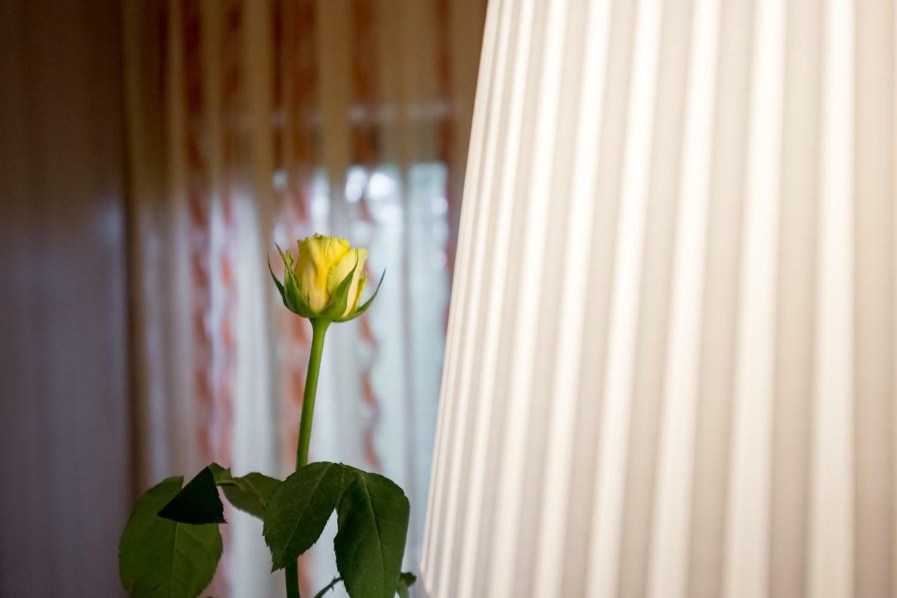 Korina Apartment กอสเตรนา ภายนอก รูปภาพ